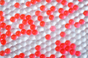 截屏2025-10-08 13.30.57