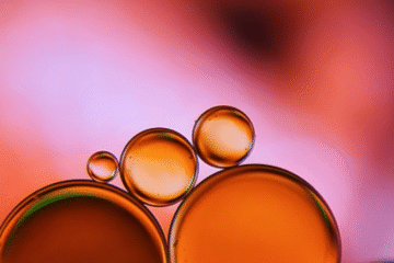 截屏2025-10-17 14.36.39